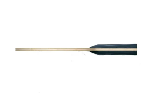 FAN ZHENDONG ZLC