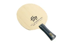 FAN ZHENDONG ZLC